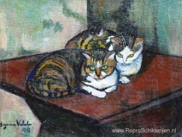 Twee katten Twee katten