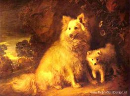 Pomeranian teef en pup Pomeranian teef en pup