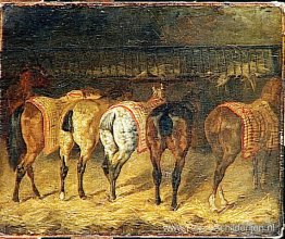 Vijf paarden van achteren gezien met kroep in een stal Vijf paarden van achteren gezien met kroep in een stal