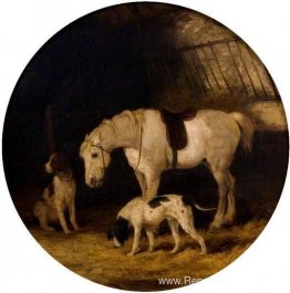 Pony's en honden Pony's en honden