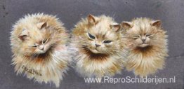 DRIE KATTEN DRIE KATTEN