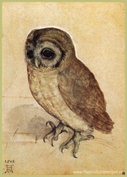 De Kleine Uil De Kleine Uil