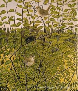 Zaunkönigpaar (Hagschlüpferli) Zaunkönigpaar (Hagschlüpferli)