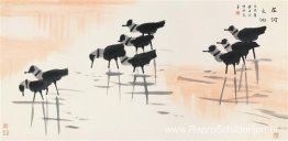 Watervogels Watervogels