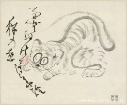Kat (Tijger?) & gedicht Kat (Tijger?) & gedicht
