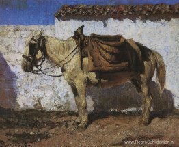 Wit paard. Normandië. Wit paard. Normandië.