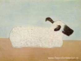 Schaap Schaap