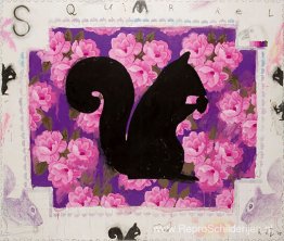 Magenta eekhoorn Magenta eekhoorn