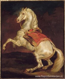 De hengst van Napoleon, Tamerlan De hengst van Napoleon, Tamerlan