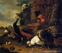 Vogels in een park Vogels in een park