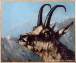 Hoofd Gazelle Hoofd Gazelle