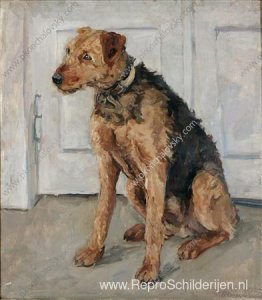 Airedale Airedale