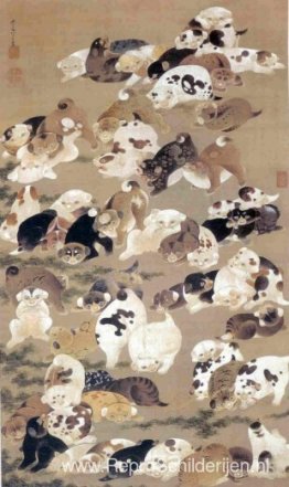 Honderd honden Honderd honden