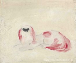 Witte Pekinees Witte Pekinees