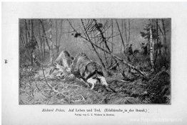 Auf Leben en Tod (Edelhirsche in der Brunft) Auf Leben en Tod (Edelhirsche in der Brunft)