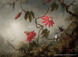 Passiebloemen met kolibries Passiebloemen met kolibries