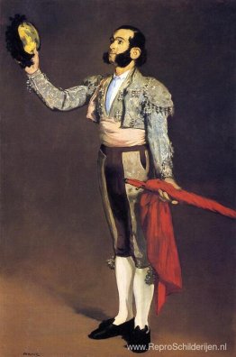 Een matador Een matador