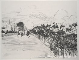 De rassen De rassen
