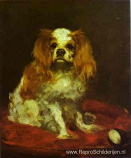 Een King Charles-spaniël Een King Charles-spaniël