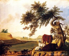Landschap Landschap
