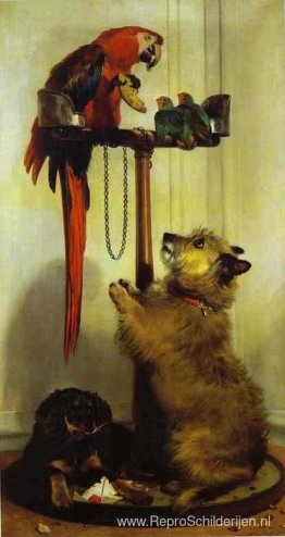 Ara's, dwergpapegaaien, terriër- en spaniëlpuppy's, behorend tot Ara's, dwergpapegaaien, terriër- en spaniëlpuppy's, behorend tot