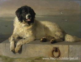 Een vooraanstaand lid van de menselijke samenleving Een vooraanstaand lid van de menselijke samenleving