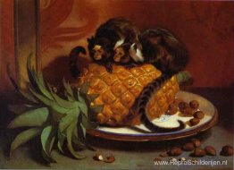 Braziliaanse zijdeaapjes Braziliaanse zijdeaapjes