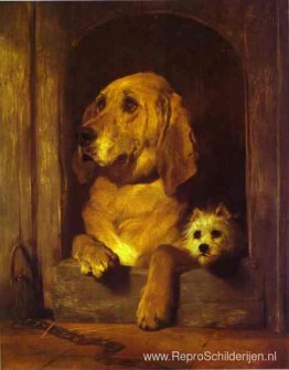 Waardigheid en onbeschaamdheid Waardigheid en onbeschaamdheid