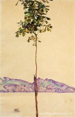 Kleine Boom (Kastanjeboom aan het Bodenmeer) Kleine Boom (Kastanjeboom aan het Bodenmeer)