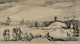 Potvis op het strand van Noordwijk Potvis op het strand van Noordwijk