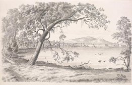 Westelijk deel van Lake Keilambete en Mt Noorat, een uitgedoofde Westelijk deel van Lake Keilambete en Mt Noorat, een uitgedoofde