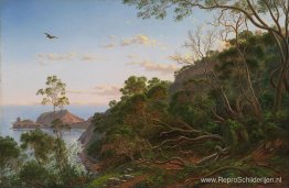 Theebomen nabij Kaap Schanck, Victoria Theebomen nabij Kaap Schanck, Victoria