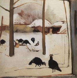 Pluimvee erf Pluimvee erf