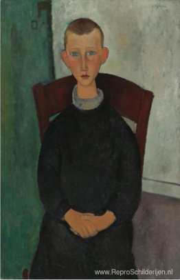 De zoon van de conciërge De zoon van de conciërge