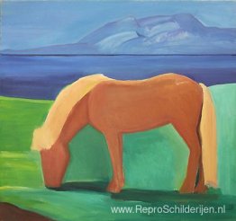 IJslands paard met blonde manen IJslands paard met blonde manen