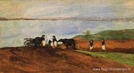 Oever van het meer Oever van het meer