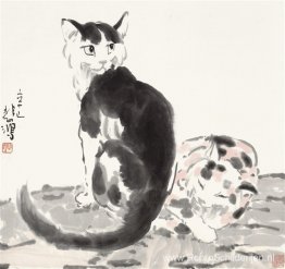Twee katten Twee katten