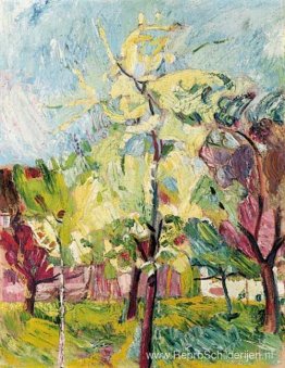 Bloeiende bomen Bloeiende bomen