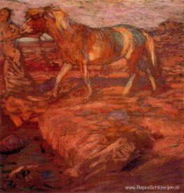 Vrouw en paard Vrouw en paard