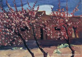 Bloeiende perziken Bloeiende perziken