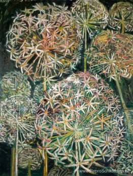 Bloemen van de zomer Bloemen van de zomer