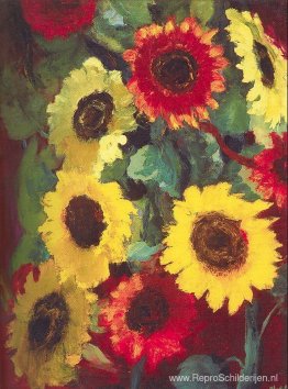 Zonnebloemen Zonnebloemen