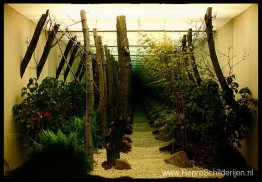 Mu Rung Do Won (Oneindige tuin) Mu Rung Do Won (Oneindige tuin)