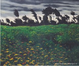 Het bloeiende veld Het bloeiende veld