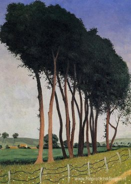 De familie van bomen De familie van bomen