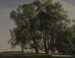 Prater-landschap Prater-landschap