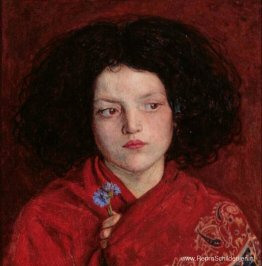 Het Ierse meisje Het Ierse meisje