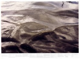 Zonder titel (uit de serie Still Water (bijvoorbeeld de rivier d Zonder titel (uit de serie Still Water (bijvoorbeeld de rivier d