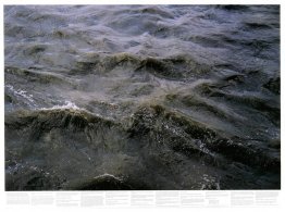 Zonder titel (uit de serie Still Water (bijvoorbeeld de rivier d Zonder titel (uit de serie Still Water (bijvoorbeeld de rivier d