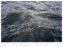 Zonder titel (uit de serie Still Water (bijvoorbeeld de rivier d Zonder titel (uit de serie Still Water (bijvoorbeeld de rivier d